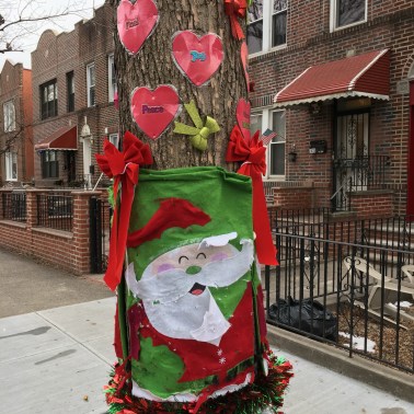 crescent_street_arbre