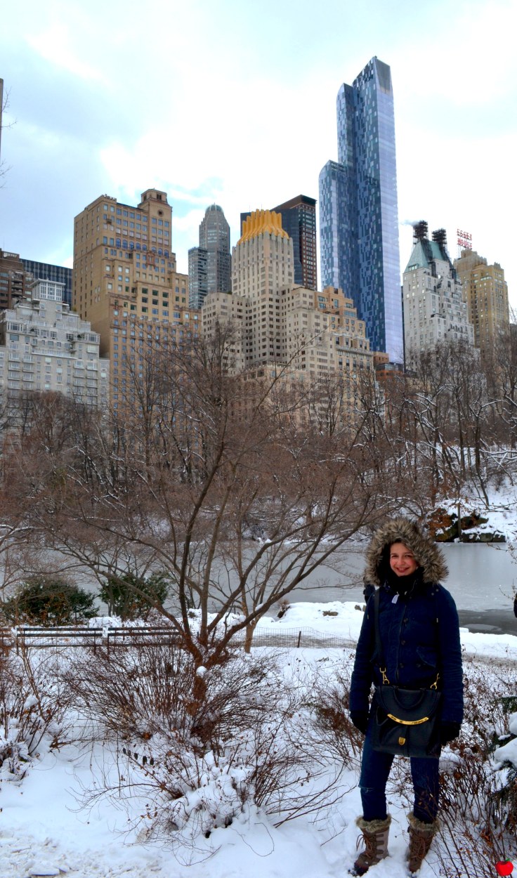 17-premieres-neiges-new-york-central-park-pieds-neige-marie-pomme