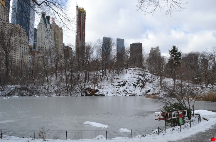 18-premieres-neiges-new-york-lac-gele-pomme