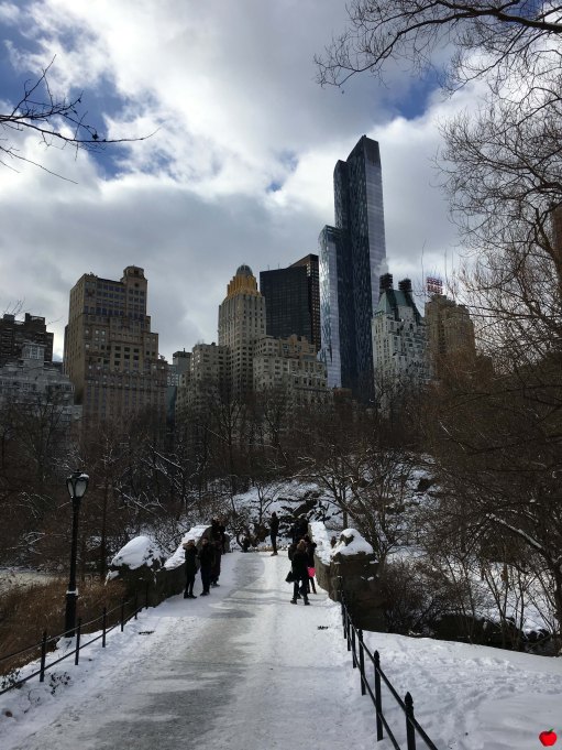 23-premieres-neiges-new-york-central-park-pont-pomme
