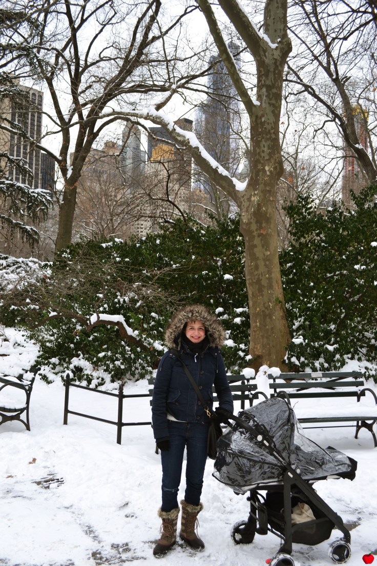 6-premieres-neiges-central-park-poussette-pomme
