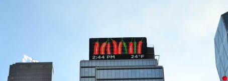 8bis-premieres-neiges-new-york-temperature-pomme