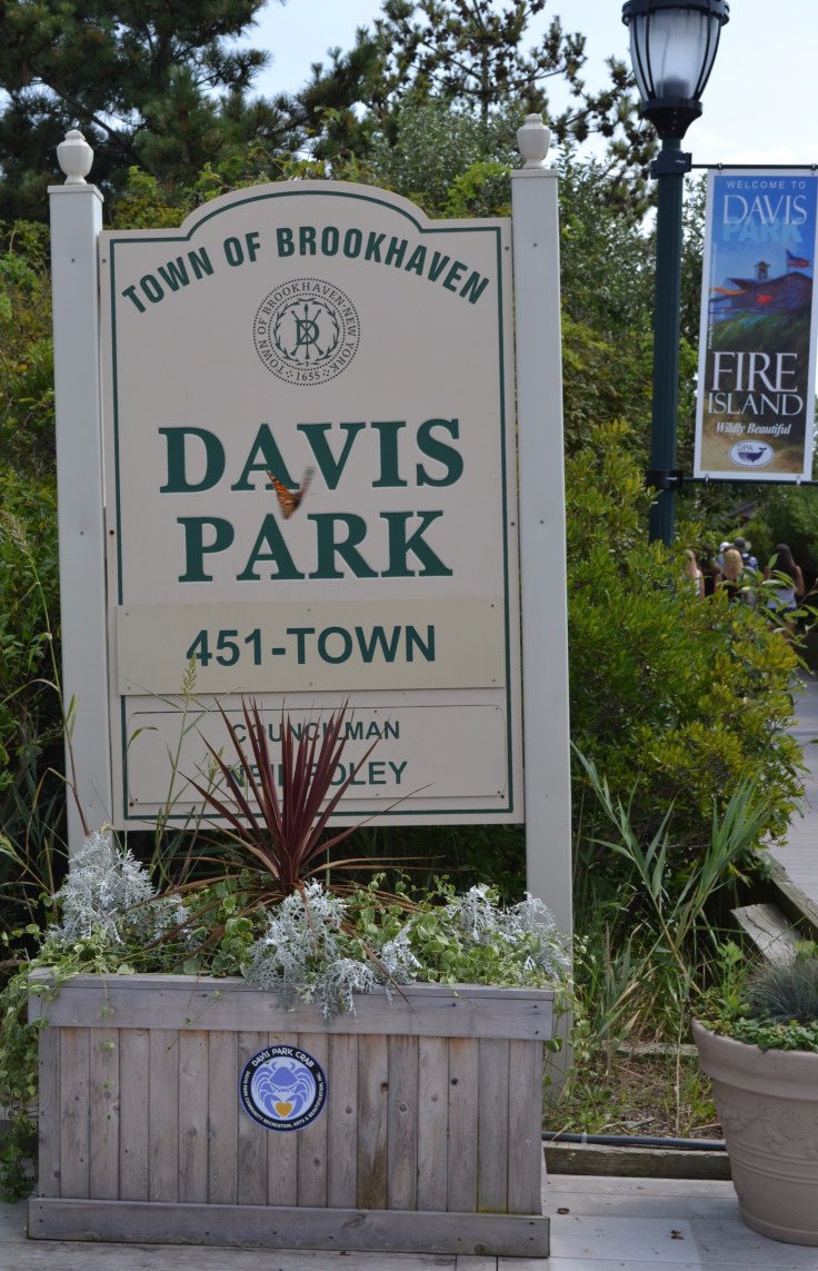 fire_island_davis_park.jpg