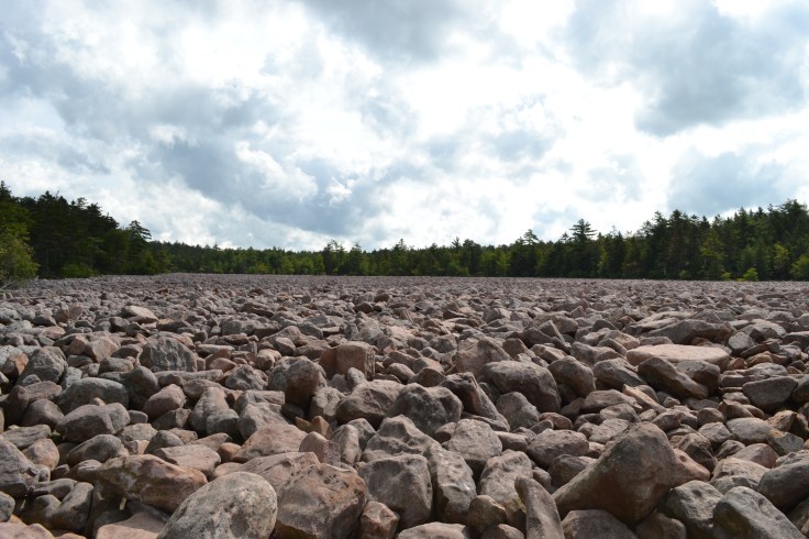 Hickory_Run_State_Park_Boulder_Field