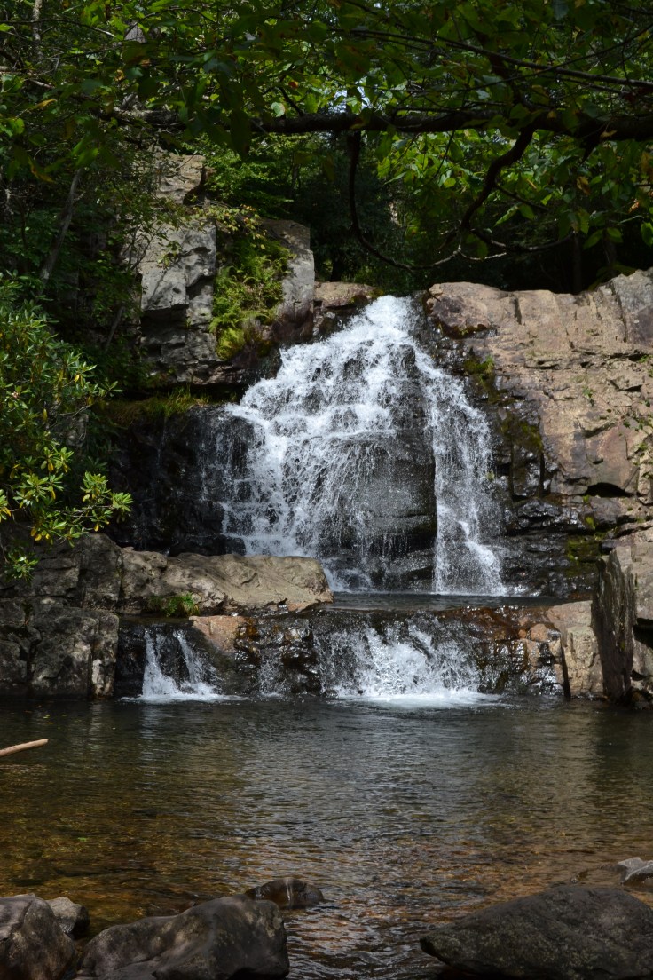 Hickory_Run_State_Park_Boulder_Field_Hawk_Falls