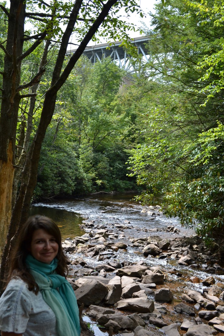 Hickory_Run_State_Park_Boulder_Field_Hawk_Falls_Marie
